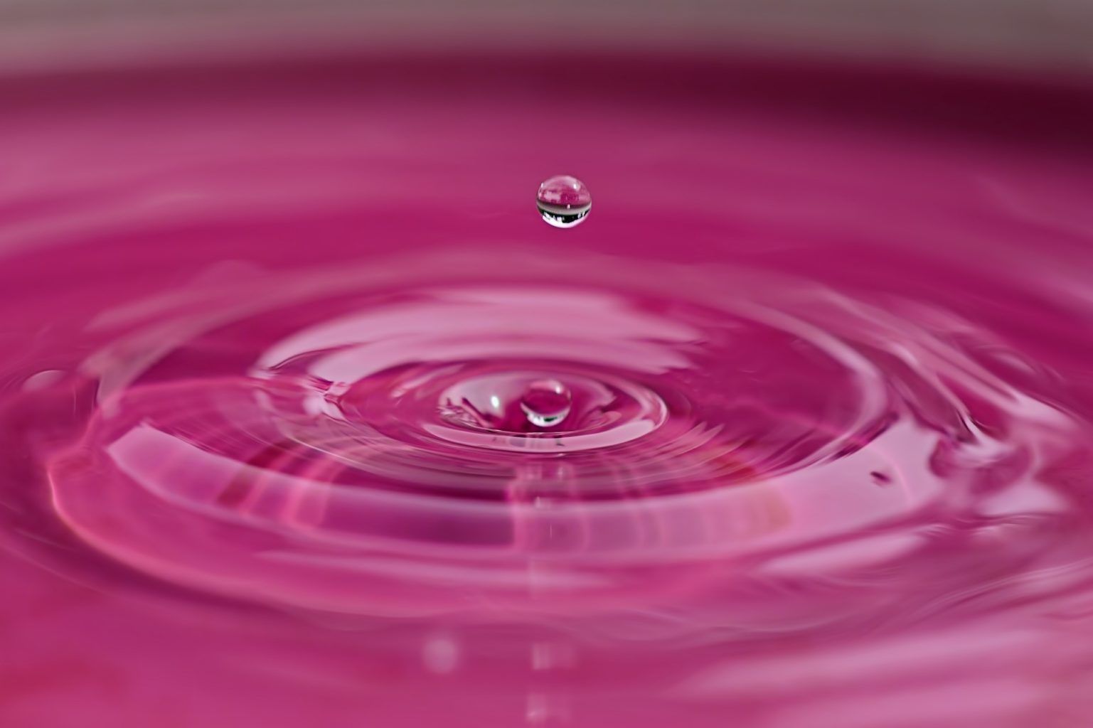 Cinco beneficios del agua de rosas para el cuidado de la piel