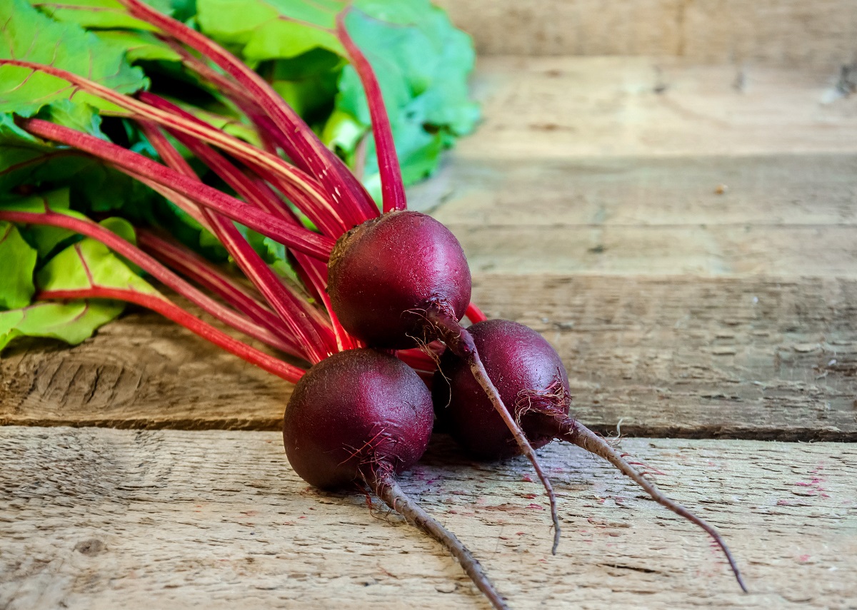 Remolacha: beneficios comprobados por la ciencia