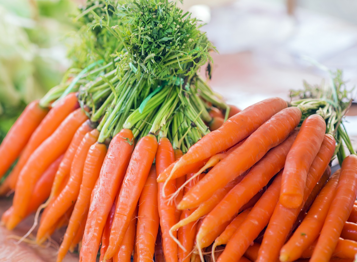 La zanahoria y sus beneficios para tu salud