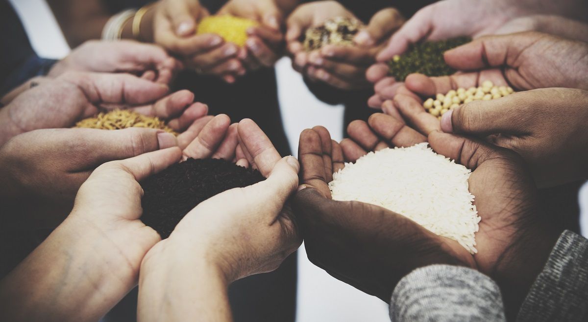 Superalimentos: ¿milagrosos y curativos?