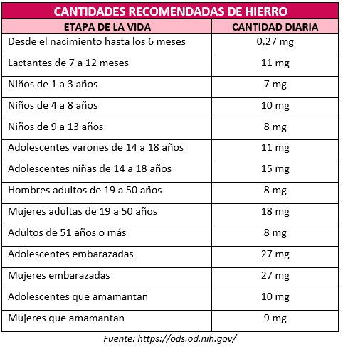 requerimientos hierro