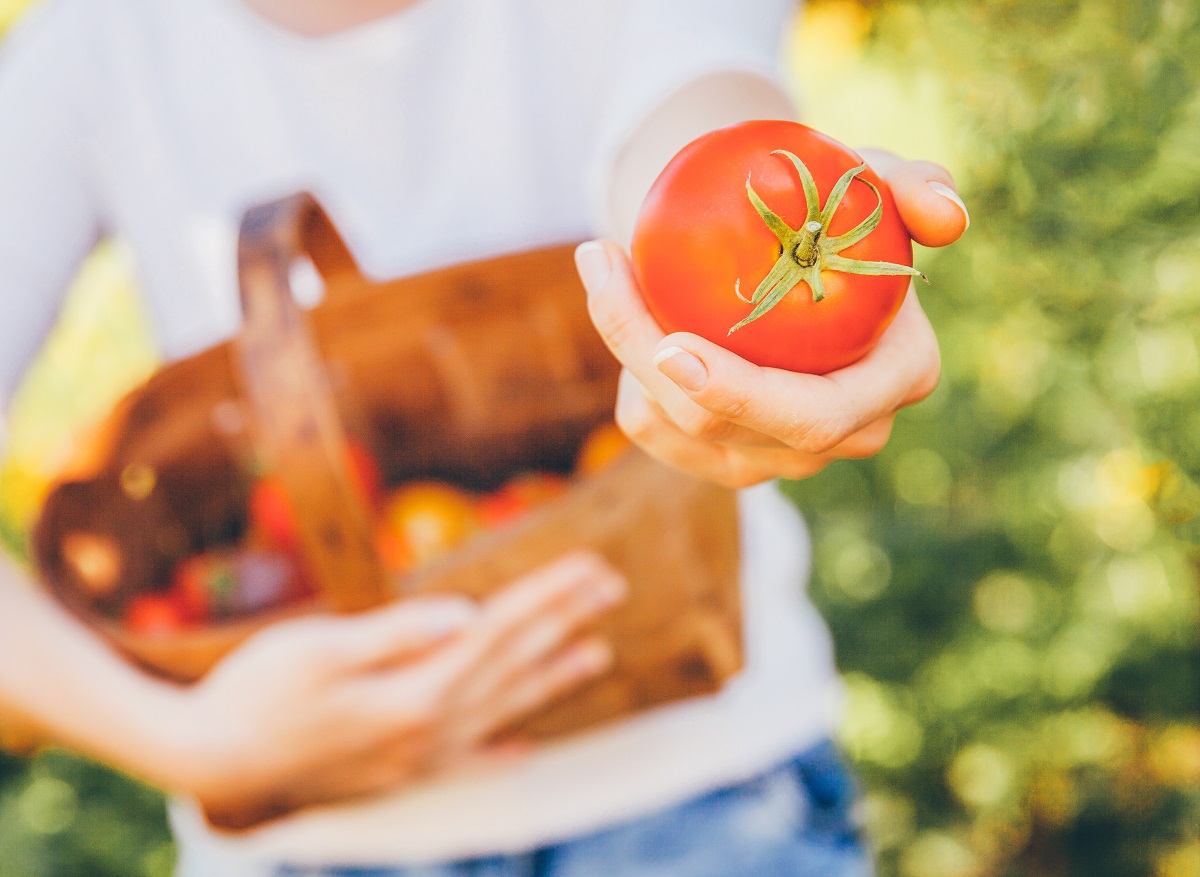¿Los alimentos orgánicos son más nutritivos y saludables?