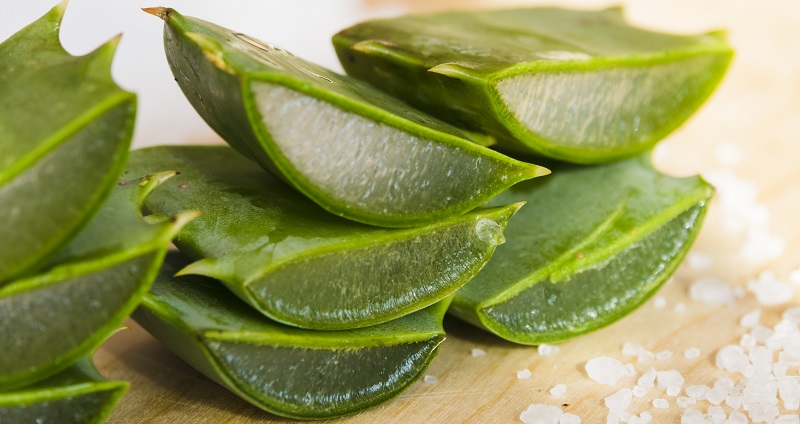 aloe vera herpes labial