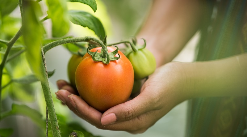 mujer sosteniendo frutas