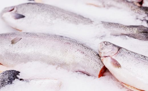 ¿Cuáles son los pescados con menos mercurio?
