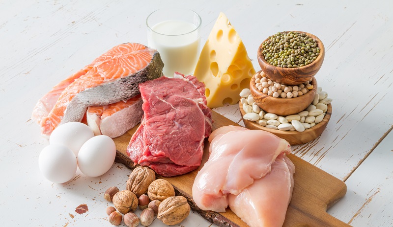 alimentos ricos en proteína